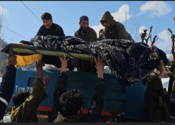 DC Kupwara Constitutes Committee To Enquire Into Alleged Delivery of Pregnant Woman on Road-side in Kalaroose