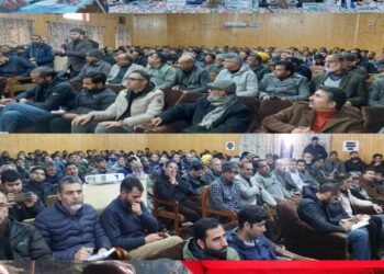 J&K: Commissioner  Secretary chairs Mega Public darbar at Kupwara