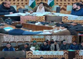 DDMA Kupwara approves 46 Relief Cases under SDRF Norms