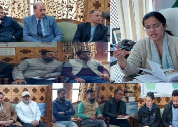 DEO Kupwara convenes meeting with representatives of political parties