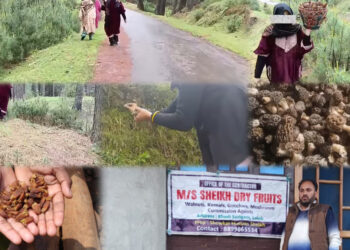 Herbal , Medicinal plants from Kamraj forests to be sold through registered NTFP depot holders, DFO Kamraj Forest Division