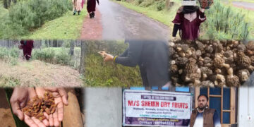 Herbal , Medicinal plants from Kamraj forests to be sold through registered NTFP depot holders, DFO Kamraj Forest Division