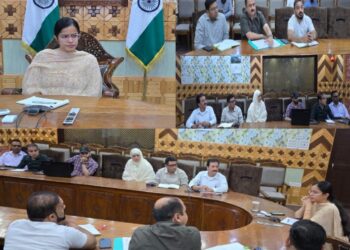 DC Kupwara chairs District level Zoonosis Committee meet, calls for formulation of SOPs, task force to deal with Zoonosis diseases