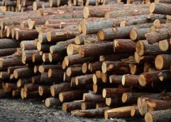 J&K : FDC Allegedly Neglects Timber Distribution, Leaving North Kashmir’s Residents in Distress