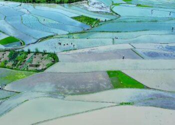 Kupwara District Achieves Major Irrigation Canal Restoration under MGNREGA, Bringing Relief to Farmers