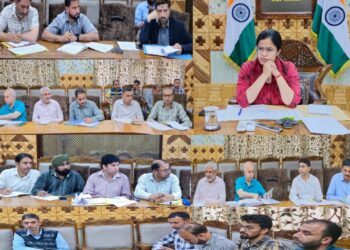 DDC Kupwara reviews progress on NH-701, RKCTC project
