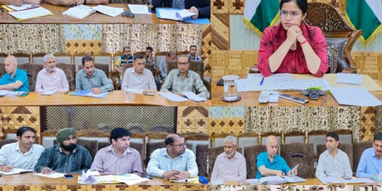 DDC Kupwara reviews progress on NH-701, RKCTC project