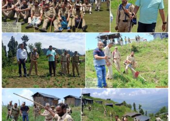 Kamraj Forest Division carries out Bhang destruction operation in Kupwara