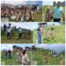 Kamraj Forest Division carries out Bhang destruction operation in Kupwara