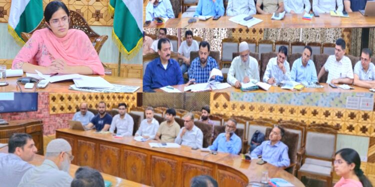 DC Kupwara reviews progress of Jal Shakti department (PHE)