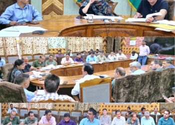 DC Kupwara chairs DDMA meeting, 41 cases settled, 19.75 lakh under SDRF sanctioned