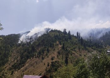 Accused booked for kindling forest fire in Kupwara
