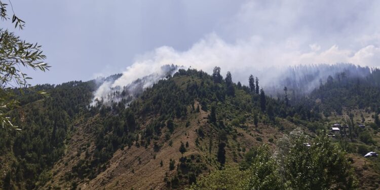 Accused booked for kindling forest fire in Kupwara