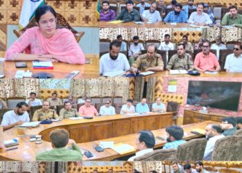 DC Kupwara chairs meeting to discuss issues, remedial measures for PwDs, and other vulnerable sections of society.