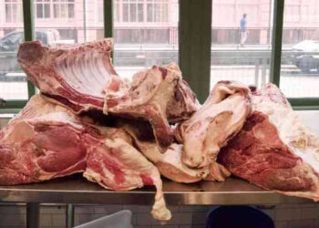 Kupwara Municipal Council Enforces Ban on Uncovered Meat and Cheese Sales