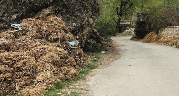 Municipal Council Kupwara Issues Public Notice on Removal of Cow Dung and Animal Waste
