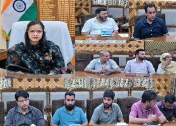 DLIC Kupwara Approves 26 Cases Under Mission YUVA Scheme