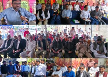 DC Kupwara Chairs Mega Block Diwas at Gulgam