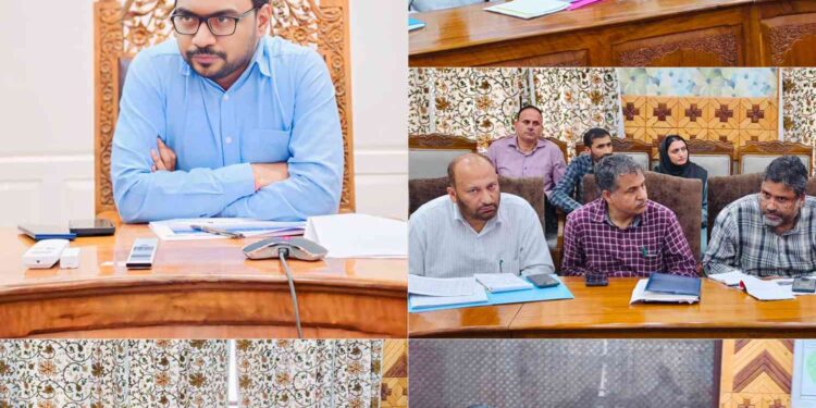 DDC Kupwara Reviews Progress of RDSS Works